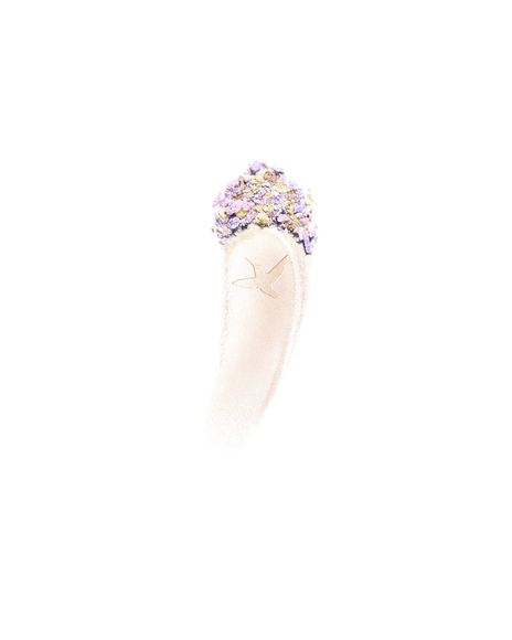 [LIMITED-EDITION] THE LUMINIZING FACE ENHANCER